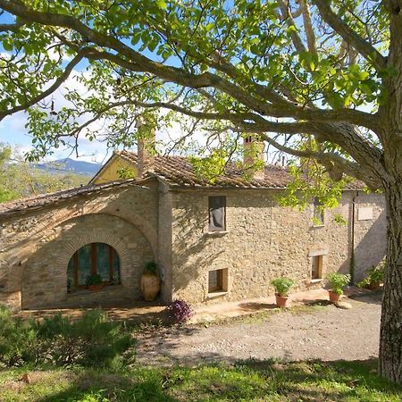 Agriturismo Corvaia Radicofani Ngoại thất bức ảnh