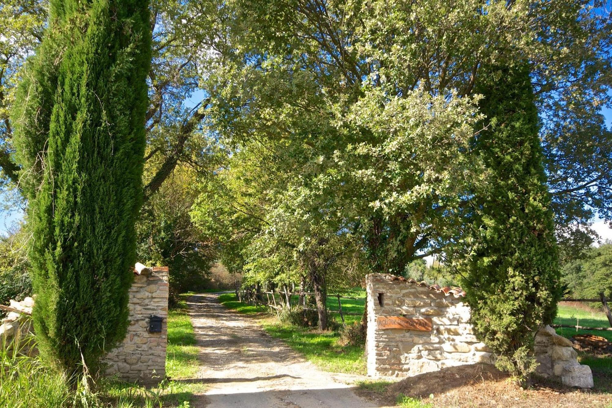 Agriturismo Corvaia Radicofani Ngoại thất bức ảnh