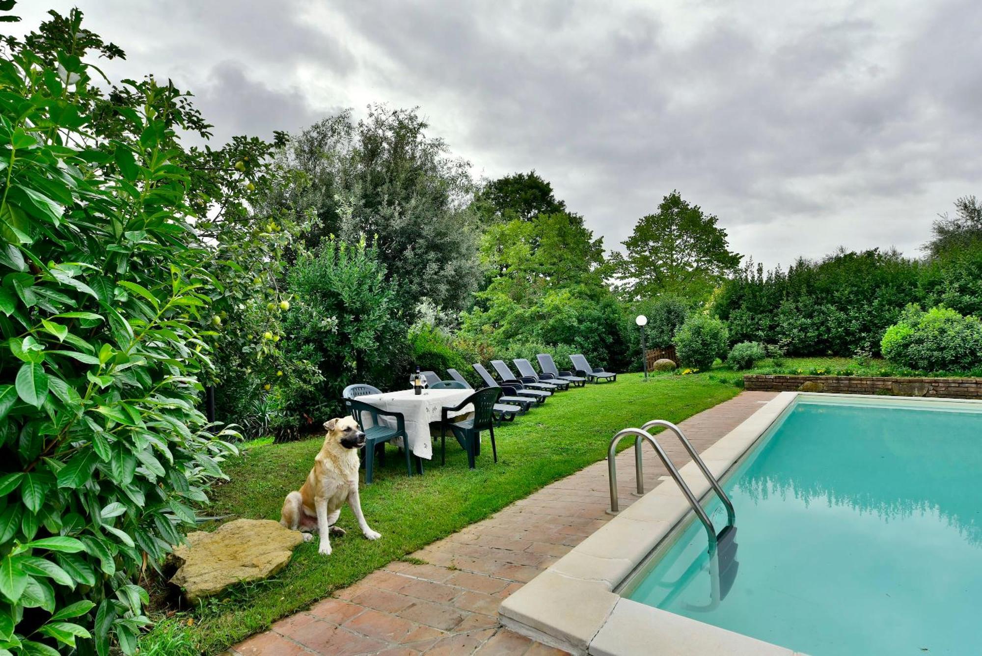 Agriturismo Corvaia Radicofani Ngoại thất bức ảnh