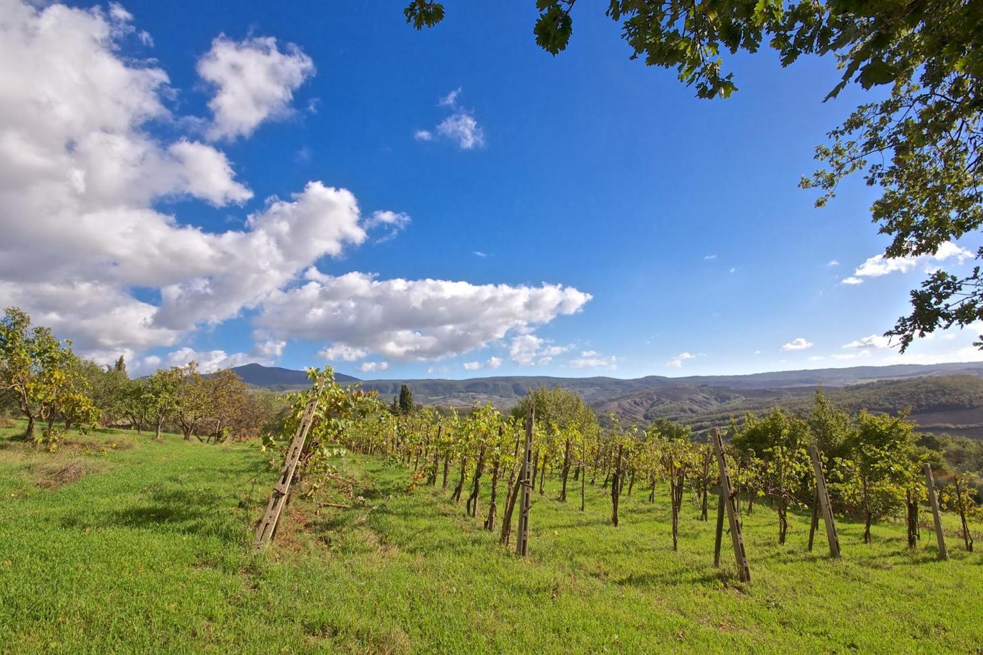 Agriturismo Corvaia Radicofani Ngoại thất bức ảnh